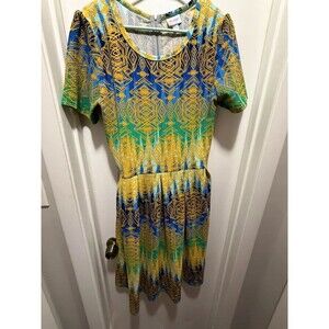 LulaRoe Amelia Dress in 2X